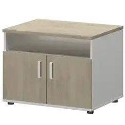 Тумба для оргтехники СМТ-2ДН Тип2  800x600x625 Смарт