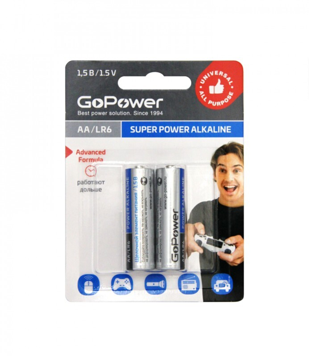 GoPower LR06 BL2 /2/24/480