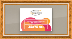 Рамка 35x75 для постера и фотографий