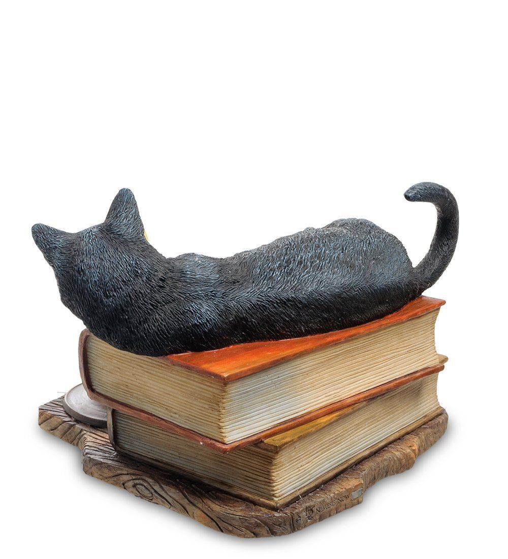 Veronese WS-843 Статуэтка «Кот на книгах» (Лиза Паркер)