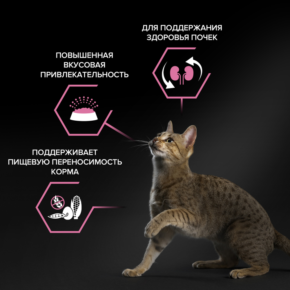 Сухой корм PRO PLAN Adult DELICATE DIGESTION для взрослых кошек с чувствительным пищеварением ягненок 400 г