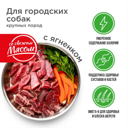 Корм сухой для взрослых собак крупных пород, премиум полнорационный комплекс, для городских собак, с ягненком, 12 кг, QUATTRO