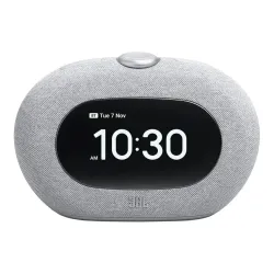 Портативная акустика JBL Horizon 3 Grey