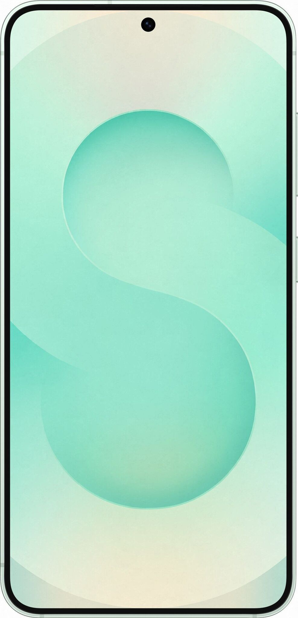Смартфон Samsung Galaxy S25 512ГБ Мятный (Mint)