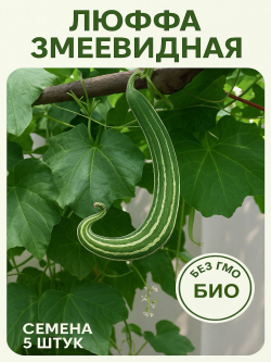 Люффа змеевидная семена 5 штук