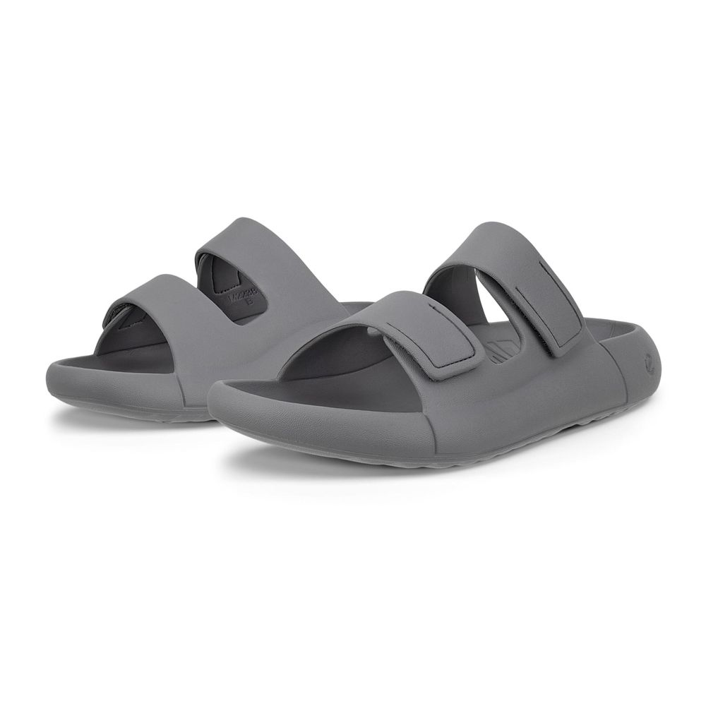 Шлепанцы мужские ECCO COZMO E