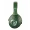 Focal Bathys Green Special Edition