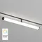 Трековый светильник SMART RAY | СМАРТ РЭЙ DK8065-BK Denkirs