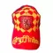 Harry Potter Hat (Gryffindor)