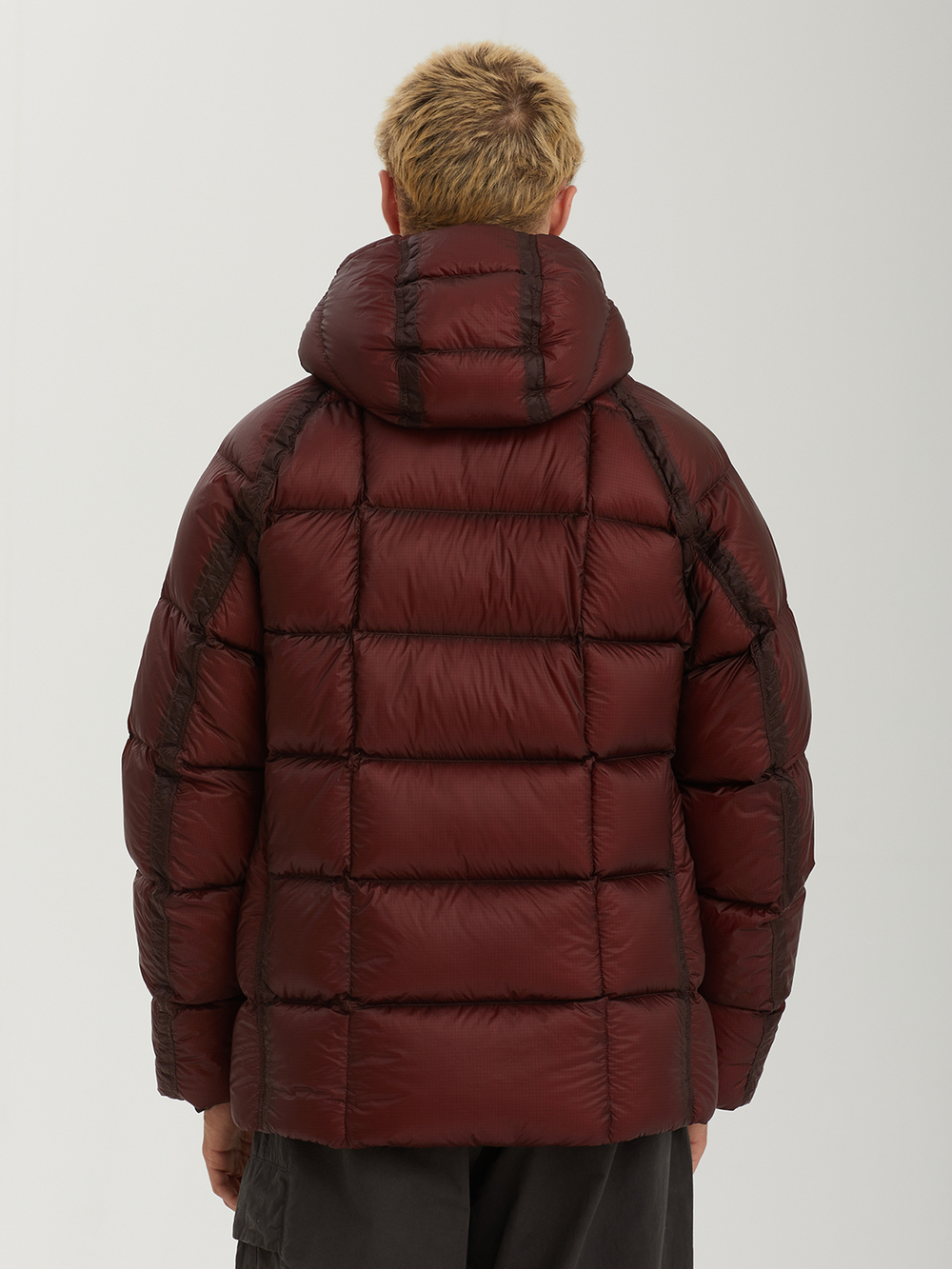 Мужская Куртка D.d. Shell Hooded Down