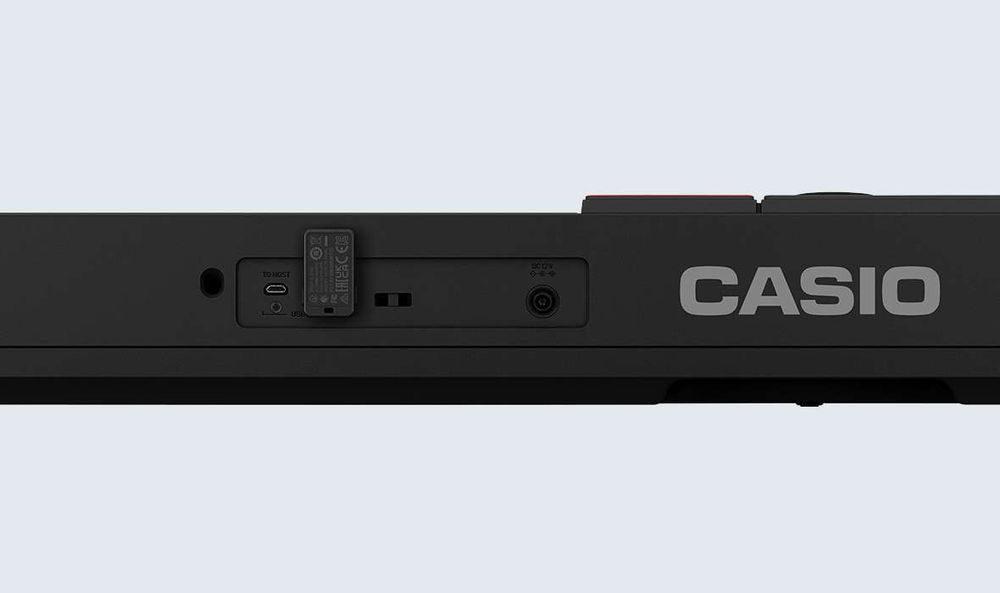 Casio CT-S1000V