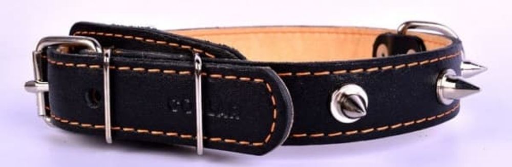 Ошейник двойной с шипами, черный (ширина 25мм, длина 38-50см) Collar Ошейник двойной с шипами, черный (ширина 25мм, длина 38-50см) Collar