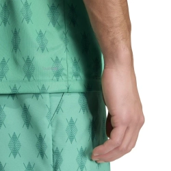 Мужская теннисная футболка Adidas Club Climacool Graphic - semi court green/collegiate green