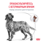 ROYAL CANIN Gastrointestinal Low Fat Диетический корм для собак при нарушениях пищеварения, 1,5 кг