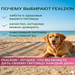 Сухой корм Fealdon для взрослых собак средних и крупных пород с индейкой