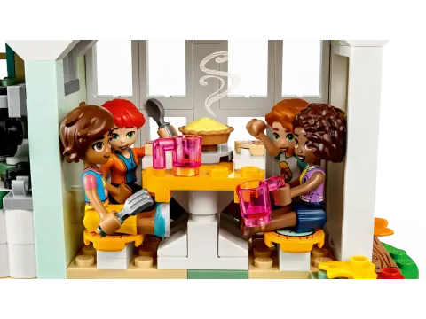 Конструктор LEGO Friends 41730 Дом Отэм