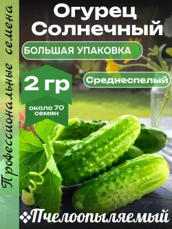 Семена Огурец Солнечный Среднеспелый пчелоопыляемый 2гр