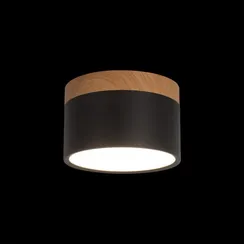 Точечный светильник Grape 10162 Black Loft It