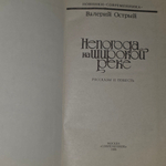 книга " Непогода на широкой реке "