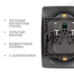 Розетка ЭРА Серия 12 12-2106-12 двойная с заземлением 2X2P+E Schuko 16A-250В IP20 графит | Эра 12
