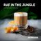 DarkSide - Raf In The Jungle