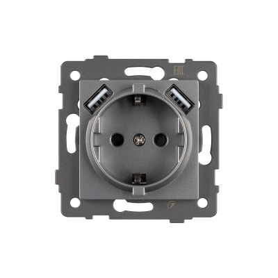 Механизм розетки с USB зарядкой SCT-MUAA-PL-GR-V (250V, 16A) (Arlight, -)