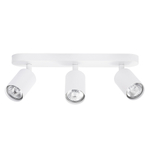 Потолочный светильник Arte Lamp AQUARIUS A3226PL-3WH
