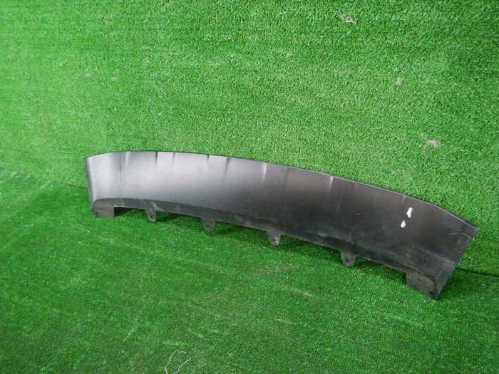 DSCN8400.JPG