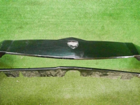 DSCN0977.jpg