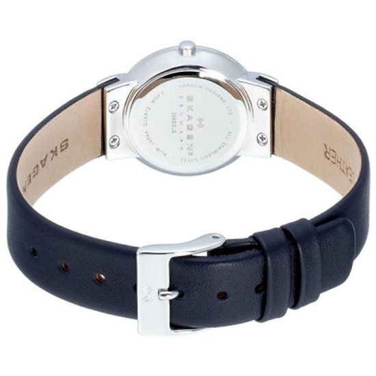 Наручные часы Skagen 358SSLB