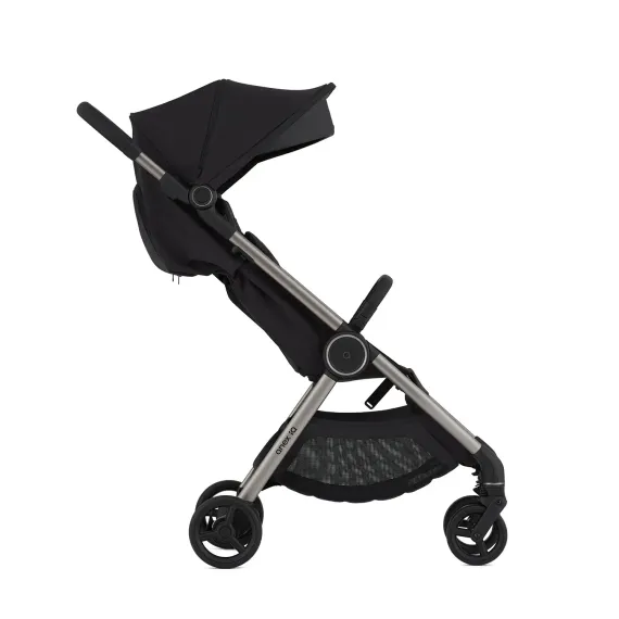 Коляска ANEX iQ Premium 2 в 1 Darke