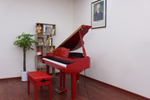 Flykeys FGP110