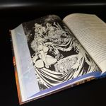 Одиночка. Книги 4-6. Коллекционное издание