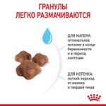 ROYAL CANIN Mother & Babycat Корм сухой для беременных и кормящих кошек; для котят от 1 до 4 месяцев и в период отъёма, 400 г