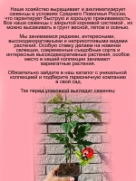 Рябина Гранатная вкусная