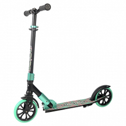 Самокат TECH TEAM COMFORT 180R black/celadon 2022