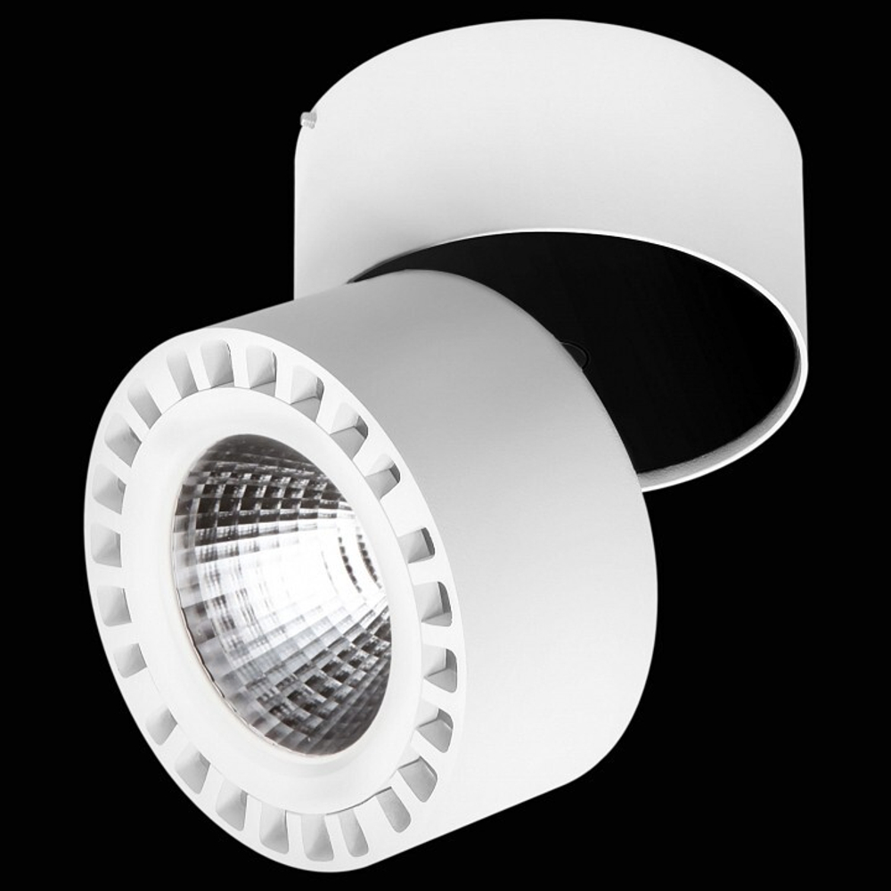 Спот Lightstar Forte IP65 381363