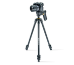 Штатив Vanguard VESTA 203AGH