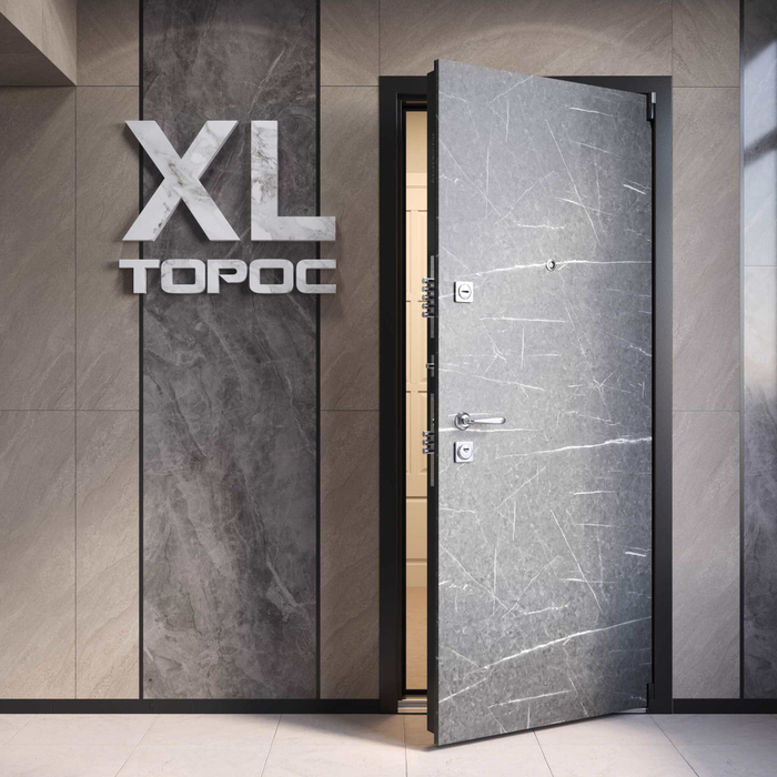 Входная дверь XL торос
