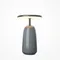 Интерьерная настольная лампа Umbra MOD522TL-L6GR3K Maytoni