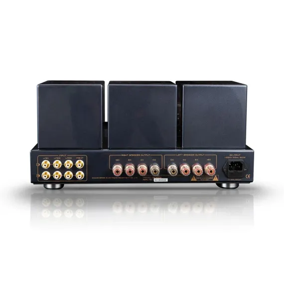 Cayin CS-300A Black