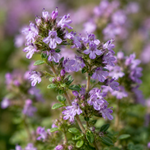 gallery_role_macro_v1__8b1b3509-0936-4f3a-a3e2-9672b74bb7ed