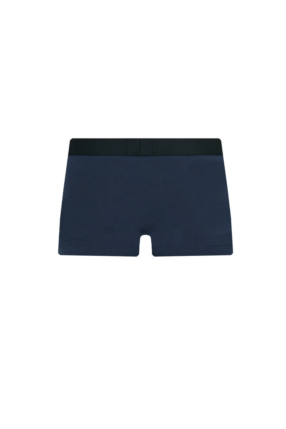 Трусики-боксеры 2шт. TRUNK BROTHER Hugo Bodywear - голубой(50496722)