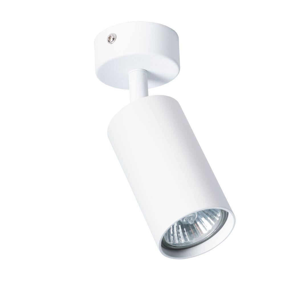Накладной светильник Arte Lamp AQUARIUS A3216PL-1WH