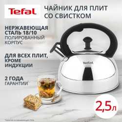 Чайник для плиты Tefal Wave 2.5 л N4210217