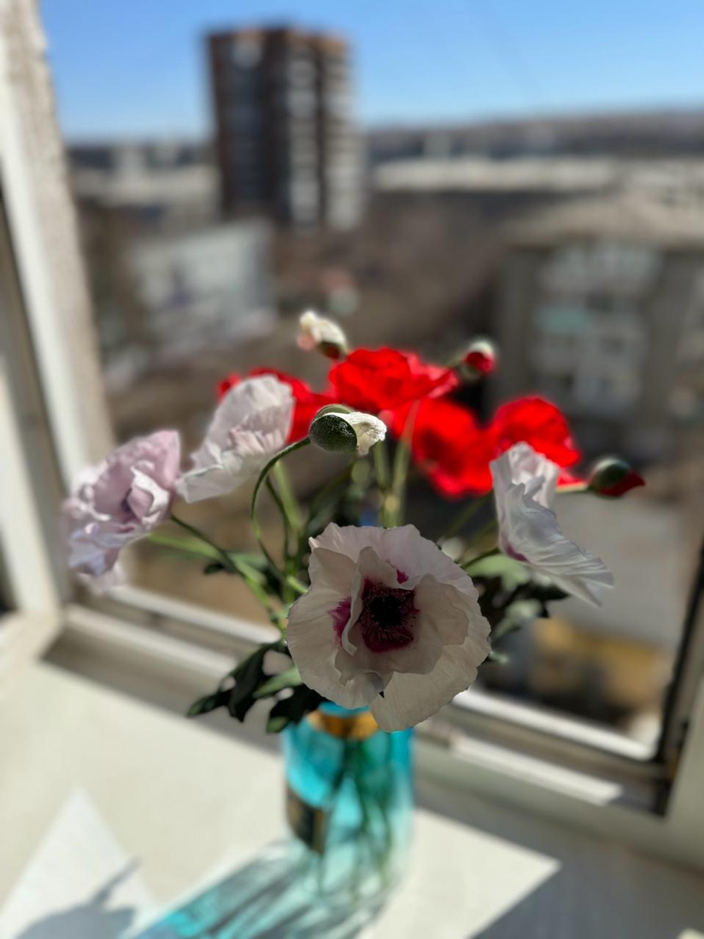 МК Мак «Кензо»