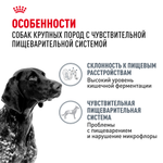 Royal Canin Maxi Digestive Care Макси Дайджестив кэа Корм сухой для взрослых собак больших размеров с чувствительным пищеварением 3кг