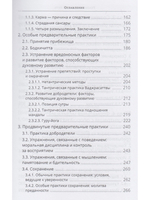 Указывая великий путь. Махамудра: этапы медитации