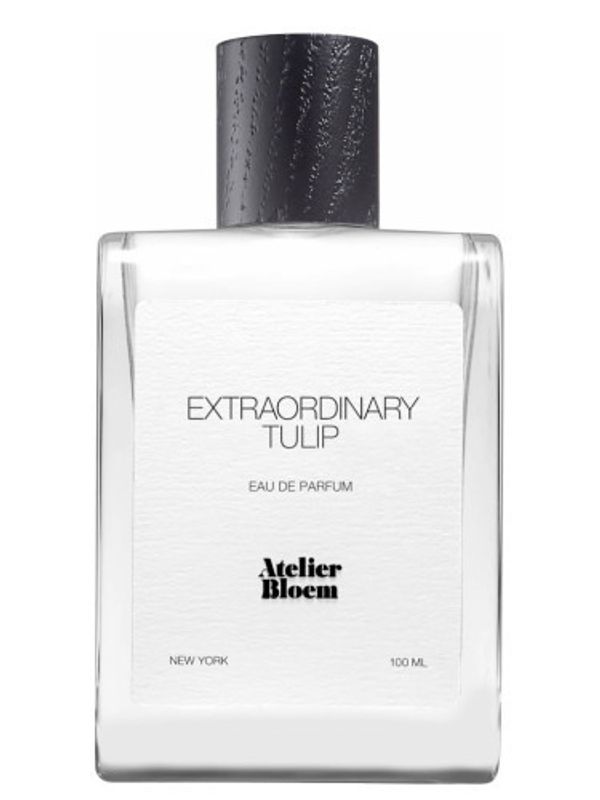 Atelier Bloem Extraordinary Tulip