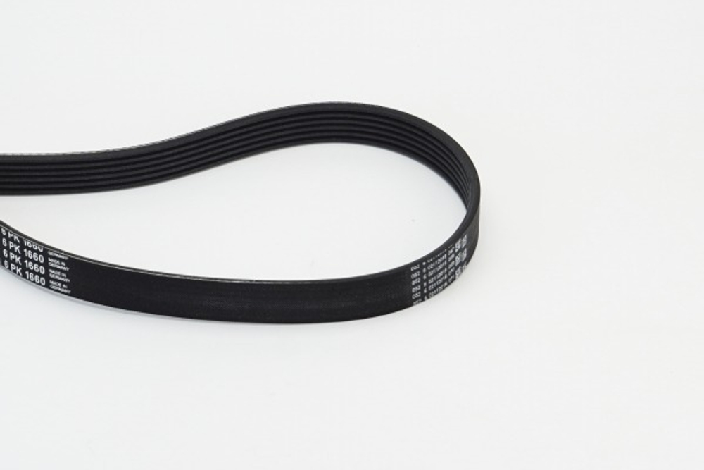 CONTINENTAL CTAM - 6PK1660